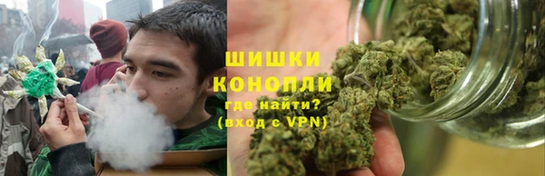 хмурый Абаза