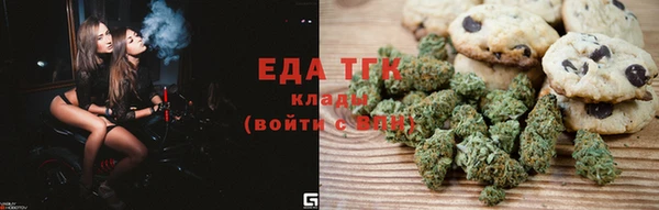 хмурый Абаза