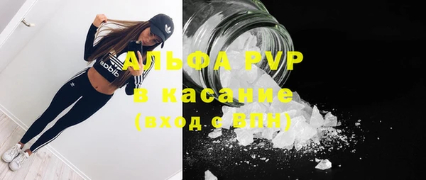 хмурый Абаза