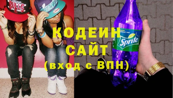 хмурый Абаза