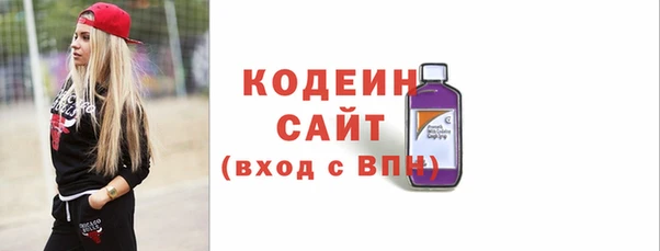 хмурый Абаза
